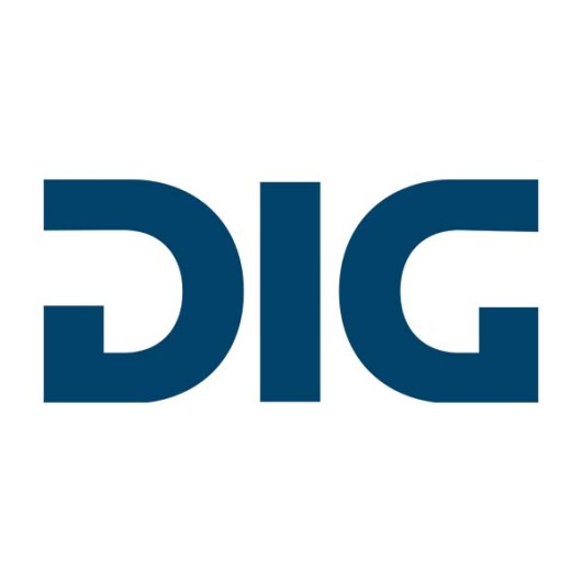 DIG DIG